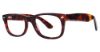 Picture of ModZ Eyeglasses Auburn