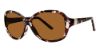 Picture of Modz Sunz Sunglasses Waikiki