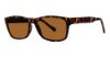 Picture of Modz Sunz Sunglasses Laguna