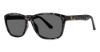 Picture of Modz Sunz Sunglasses Hamoa