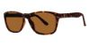 Picture of Modz Sunz Sunglasses Hamoa