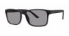 Picture of Modz Sunz Sunglasses Clifton