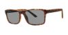 Picture of Modz Sunz Sunglasses Clifton