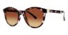 Picture of Modz Sunz Sunglasses Clearwater