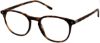 Picture of Moleskine Eyeglasses MO 1159