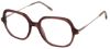 Picture of Moleskine Eyeglasses MO 1178