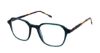 Picture of Moleskine Eyeglasses MO 1248