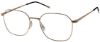 Picture of Moleskine Eyeglasses MO 2156