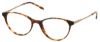 Picture of Moleskine Eyeglasses MO 1102