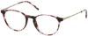 Picture of Moleskine Eyeglasses MO 1101