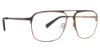 Picture of Mr Turk Eyeglasses Bernini