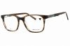 Picture of Nautica Eyeglasses N8179