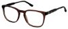 Picture of New Balance Eyeglasses NBK 168