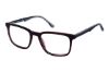 Picture of New Balance Eyeglasses NB 4163