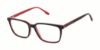 Picture of New Balance Eyeglasses NB 559