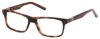 Picture of New Balance Eyeglasses NBK 135