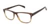 Picture of New Balance Eyeglasses NB 521
