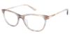 Picture of Nicole Miller Eyeglasses MAJESTIC