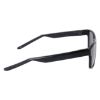 Picture of Nike Sunglasses LIVEFREE CLASSIC EV24011