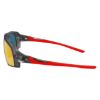 Picture of Nike Sunglasses FLYFREE M FV2391