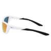 Picture of Nike Sunglasses BRAZER M FV2401