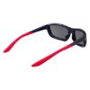 Picture of Nike Sunglasses BRAZER M FV2401