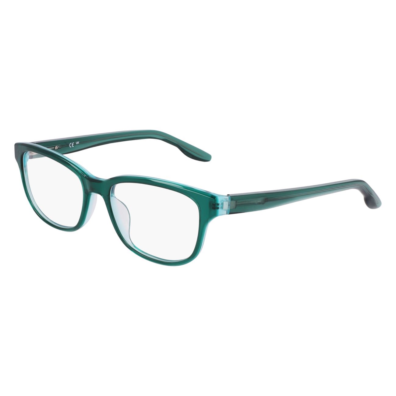 Picture of Nike Eyeglasses 7165