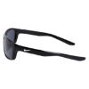 Picture of Nike Sunglasses LYNK FD1806