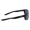 Picture of Nike Sunglasses LYNK FD1806