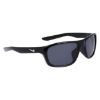 Picture of Nike Sunglasses LYNK FD1806