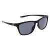 Picture of Nike Sunglasses CITY ICON DJ0890