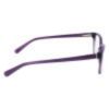 Picture of Nine West Eyeglasses NW5195