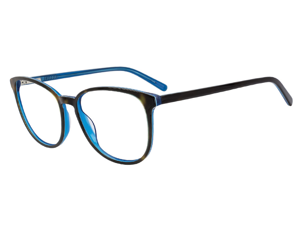 Picture of Nrg Eyeglasses R599