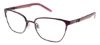 Picture of Ocean Pacific Eyeglasses KENSINGTON