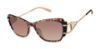 Picture of O'neil Sunglasses VGS018