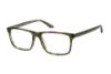 Picture of O'neil Eyeglasses ONO-4502-T