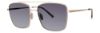 Picture of Paradigm Sunglasses Kolohe