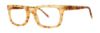 Picture of Paradigm Eyeglasses Nicholson