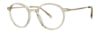 Picture of Paradigm Eyeglasses Miles