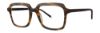 Picture of Paradigm Eyeglasses Medina
