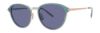 Picture of Paradigm Sunglasses 21-51