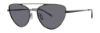 Picture of Paradigm Sunglasses 21-50