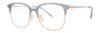 Picture of Paradigm Eyeglasses 21-04