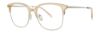 Picture of Paradigm Eyeglasses 21-04