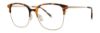 Picture of Paradigm Eyeglasses 21-04