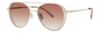 Picture of Paradigm Sunglasses 20-61