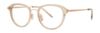 Picture of Paradigm Eyeglasses 20-22