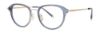 Picture of Paradigm Eyeglasses 20-22