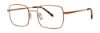 Picture of Paradigm Eyeglasses 20-20