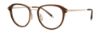 Picture of Paradigm Eyeglasses 20-22